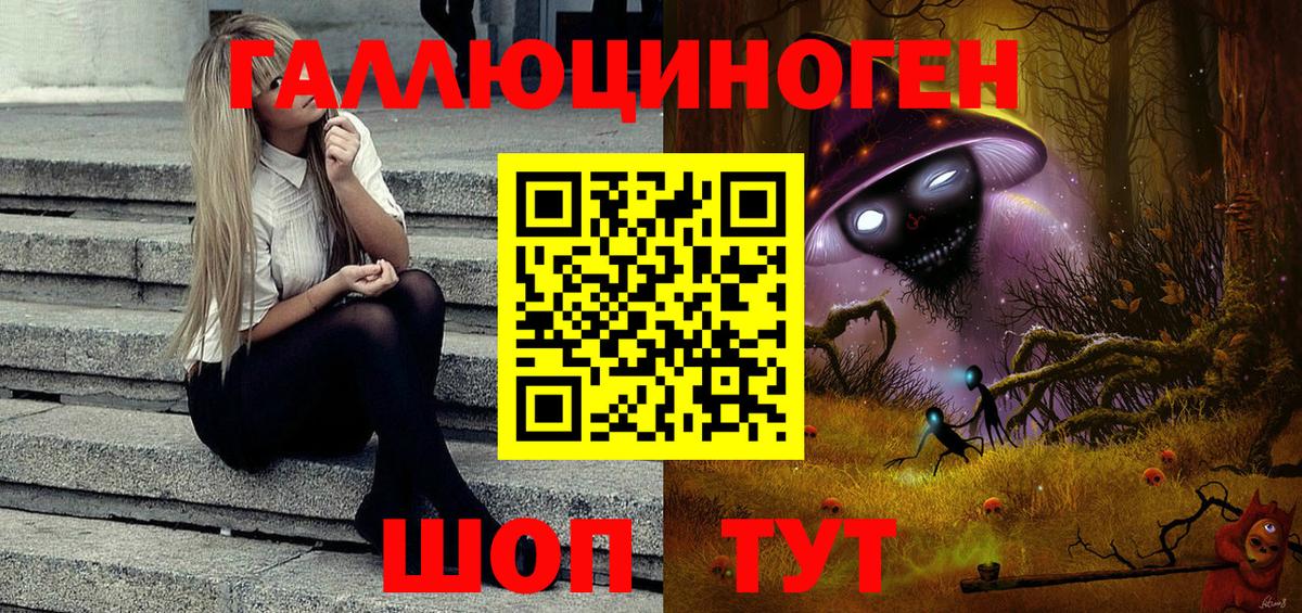 Псилоцибиновые грибы GOLDEN TEACHER Курчатов