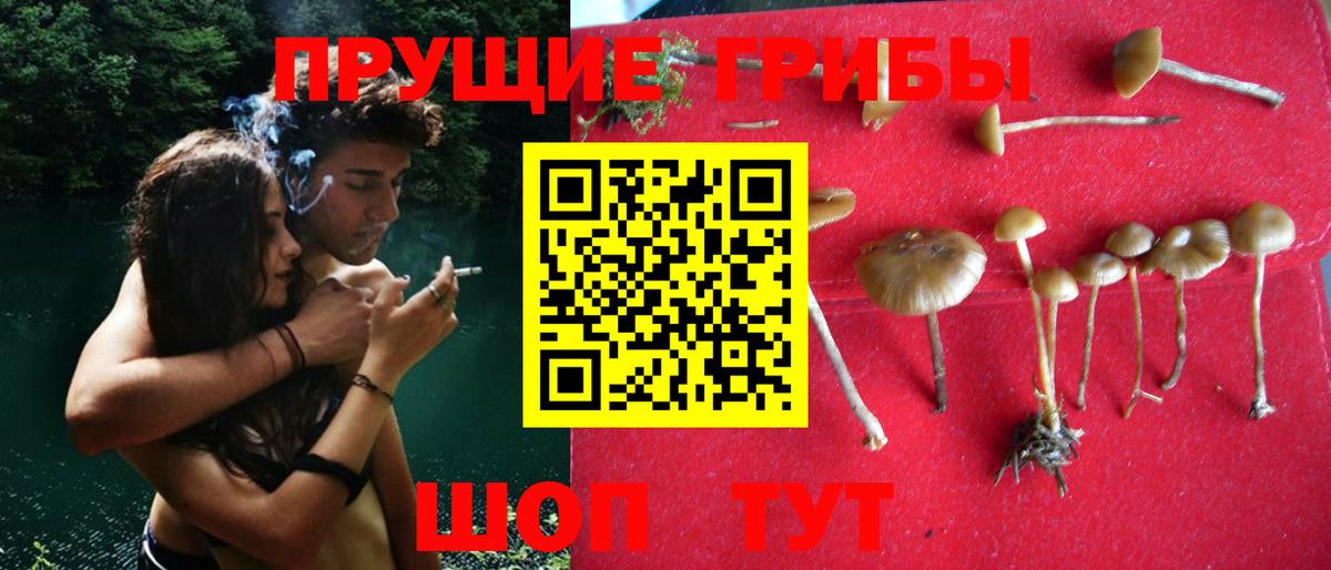 Псилоцибиновые грибы Magic Shrooms  Вход с VPN  Курчатов 